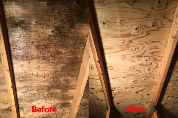 water damage restoration service St. Martinville